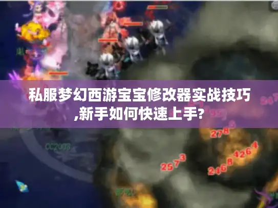 私服梦幻西游宝宝修改器实战技巧,新手如何快速上手?