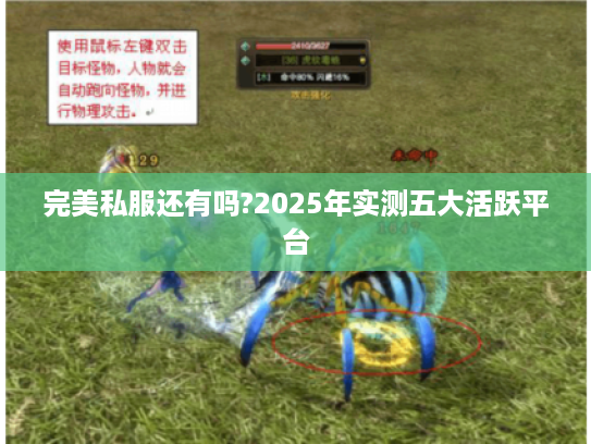 完美私服还有吗?2025年实测五大活跃平台
