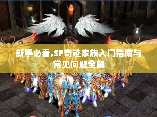 新手必看,SF奇迹家族入门指南与常见问题全解