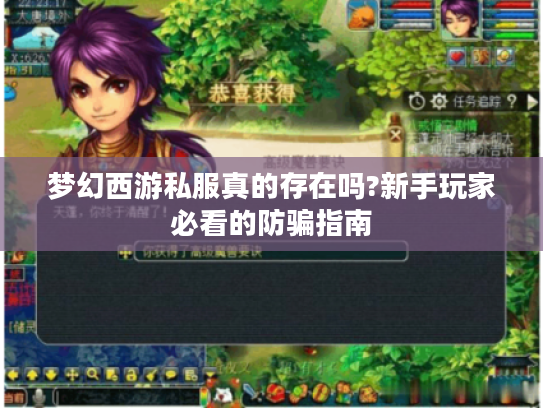 梦幻西游私服真的存在吗?新手玩家必看的防骗指南