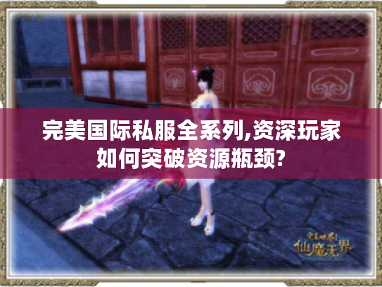 完美国际私服全系列,资深玩家如何突破资源瓶颈?