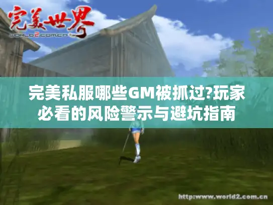 完美私服哪些GM被抓过?玩家必看的风险警示与避坑指南