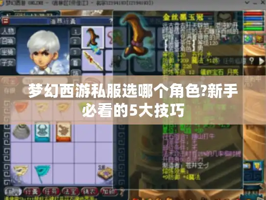 梦幻西游私服选哪个角色?新手必看的5大技巧