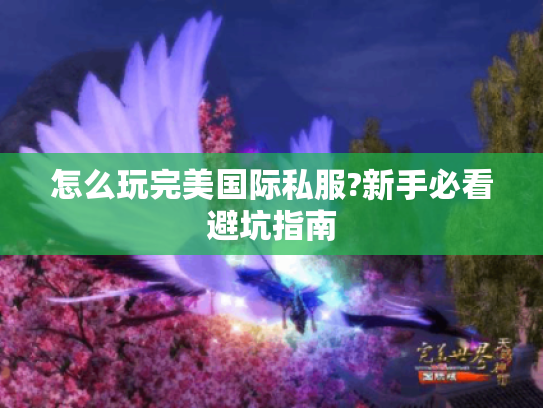 怎么玩完美国际私服?新手必看避坑指南