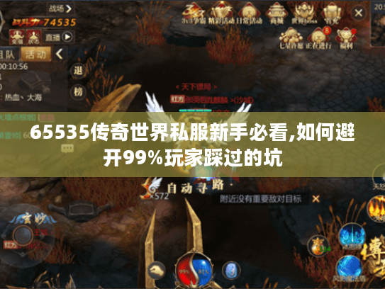 65535传奇世界私服新手必看,如何避开99%玩家踩过的坑