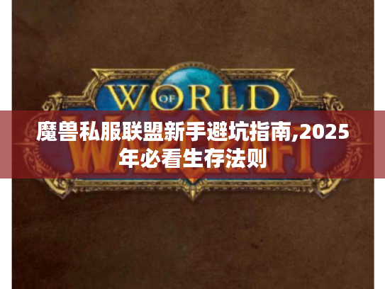 魔兽私服联盟新手避坑指南,2025年必看生存法则