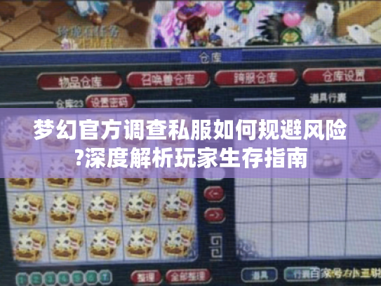 梦幻官方调查私服如何规避风险?深度解析玩家生存指南 梦幻官方调查私服如何规避风险?深度解析玩家生存指南