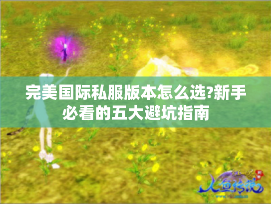 完美国际私服版本怎么选?新手必看的五大避坑指南
