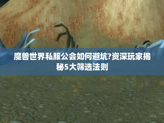 魔兽世界私服公会如何避坑?资深玩家揭秘5大筛选法则 魔兽世界私服公会如何避坑?资深玩家揭秘5大筛选法则