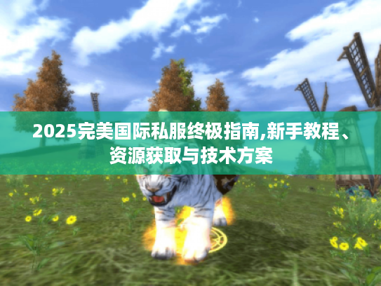 2025完美国际私服终极指南,新手教程、资源获取与技术方案