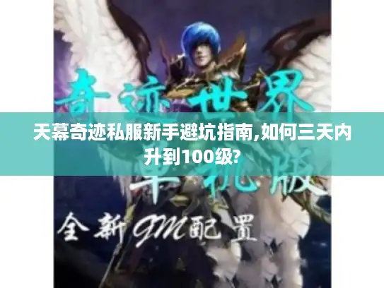 天幕奇迹私服新手避坑指南,如何三天内升到100级? 天幕奇迹私服新手避坑指南,如何三天内升到100级?