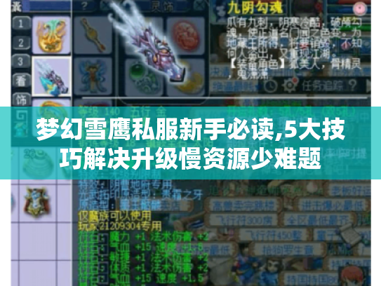 梦幻雪鹰私服新手必读,5大技巧解决升级慢资源少难题
