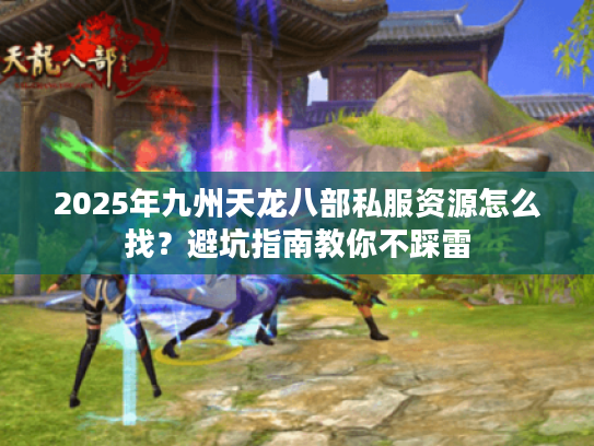 2025年九州天龙八部私服资源怎么找？避坑指南教你不踩雷