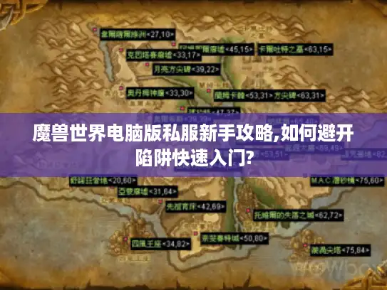魔兽世界电脑版私服新手攻略,如何避开陷阱快速入门?
