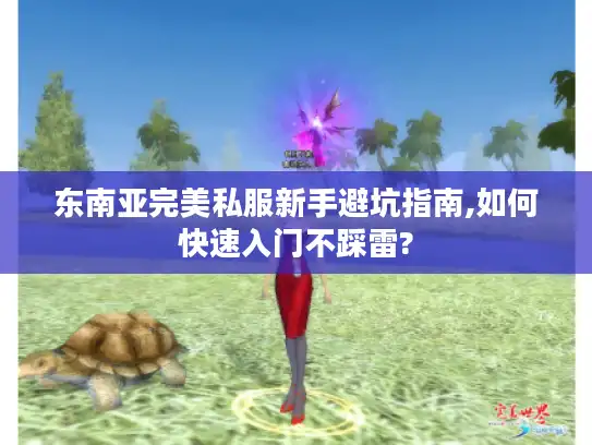 东南亚完美私服新手避坑指南,如何快速入门不踩雷? 东南亚完美私服新手避坑指南,如何快速入门不踩雷?