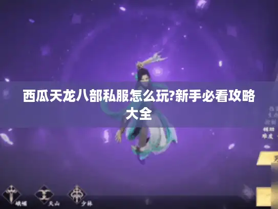 西瓜天龙八部私服怎么玩?新手必看攻略大全