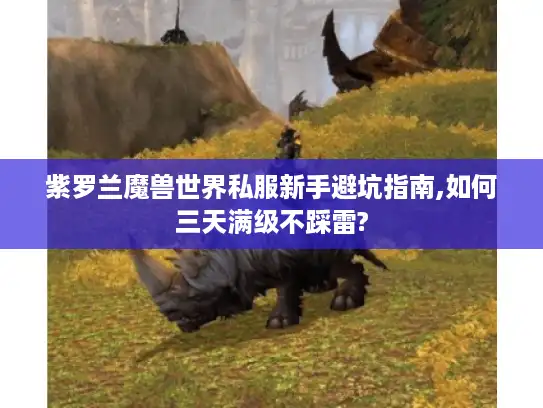 紫罗兰魔兽世界私服新手避坑指南,如何三天满级不踩雷?