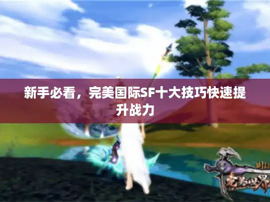 新手必看，完美国际SF十大技巧快速提升战力