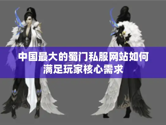 中国最大的蜀门私服网站如何满足玩家核心需求
