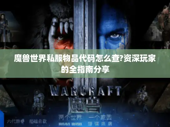 魔兽世界私服物品代码怎么查?资深玩家的全指南分享 魔兽世界私服物品代码怎么查?资深玩家的全指南分享