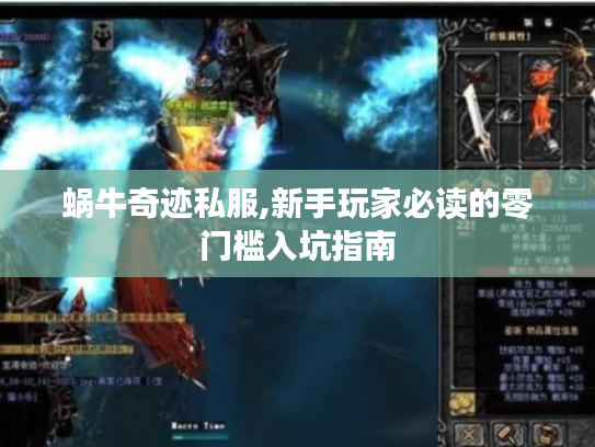 蜗牛奇迹私服,新手玩家必读的零门槛入坑指南