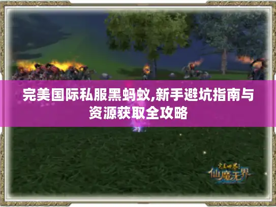 完美国际私服黑蚂蚁,新手避坑指南与资源获取全攻略