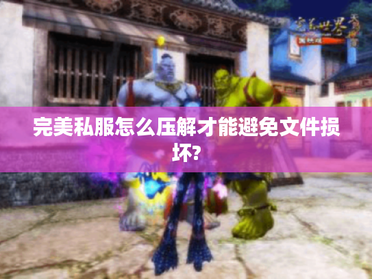 完美私服怎么压解才能避免文件损坏?