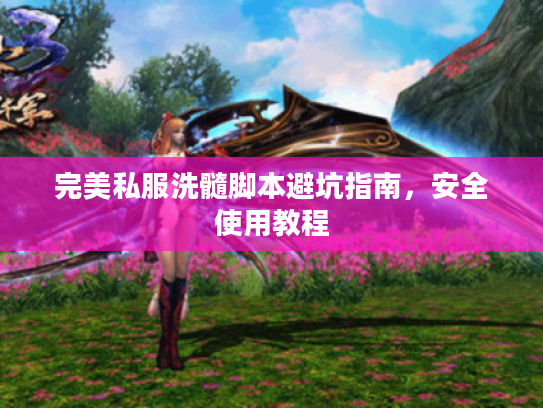 完美私服洗髓脚本避坑指南，安全使用教程