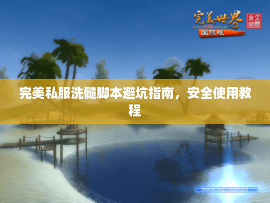 完美私服洗髓脚本避坑指南，安全使用教程