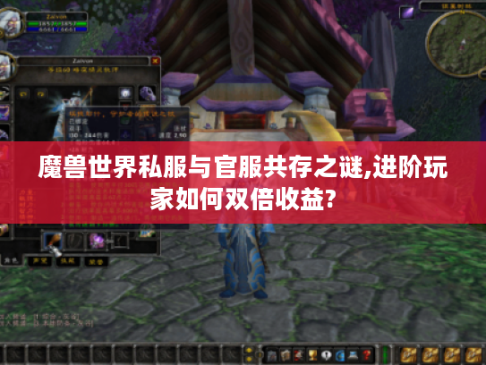 魔兽世界私服与官服共存之谜,进阶玩家如何双倍收益?