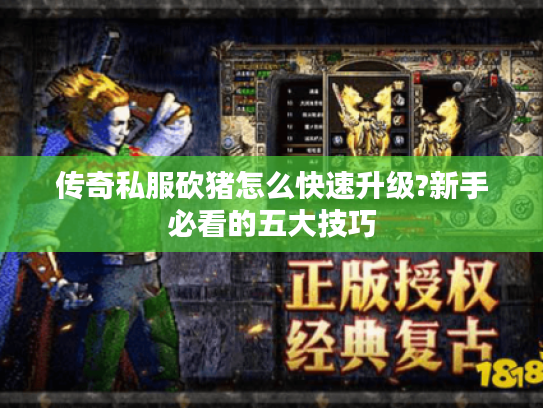 传奇私服砍猪怎么快速升级?新手必看的五大技巧