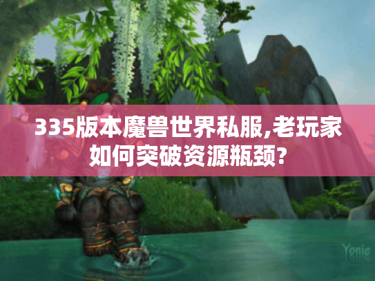 335版本魔兽世界私服,老玩家如何突破资源瓶颈?