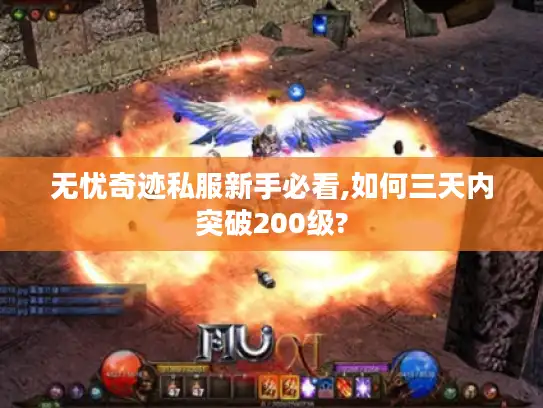 无忧奇迹私服新手必看,如何三天内突破200级?