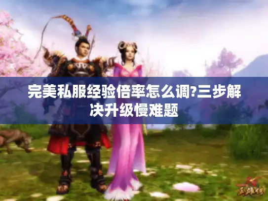 完美私服经验倍率怎么调?三步解决升级慢难题 完美私服经验倍率怎么调?三步解决升级慢难题