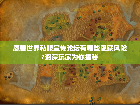 魔兽世界私服宣传论坛有哪些隐藏风险?资深玩家为你揭秘