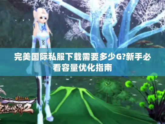 完美国际私服下载需要多少G?新手必看容量优化指南 完美国际私服下载需要多少G?新手必看容量优化指南