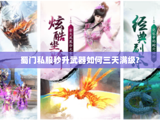 蜀门私服秒升武器如何三天满级?