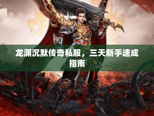 龙渊沉默传奇私服，三天新手速成指南