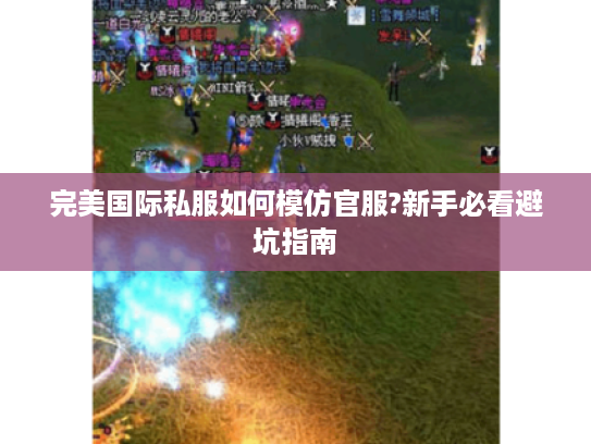 完美国际私服如何模仿官服?新手必看避坑指南