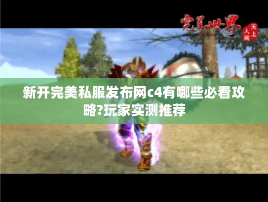 新开完美私服发布网c4有哪些必看攻略?玩家实测推荐