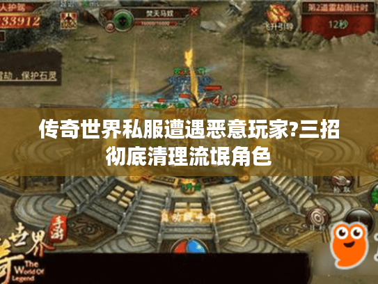 传奇世界私服遭遇恶意玩家?三招彻底清理流氓角色