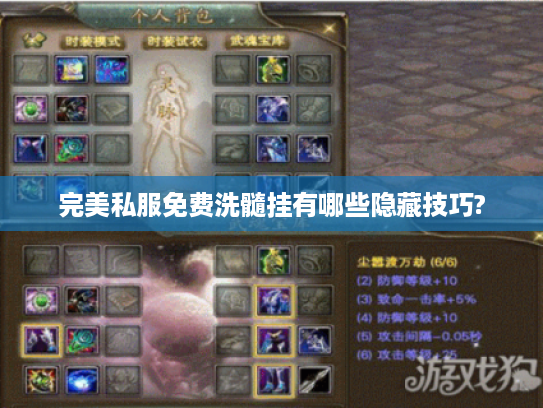 完美私服免费洗髓挂有哪些隐藏技巧?