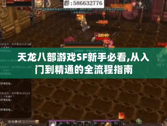 天龙八部游戏SF新手必看,从入门到精通的全流程指南