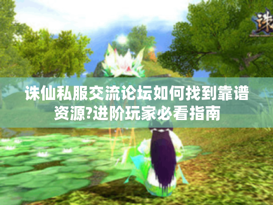 诛仙私服交流论坛如何找到靠谱资源?进阶玩家必看指南