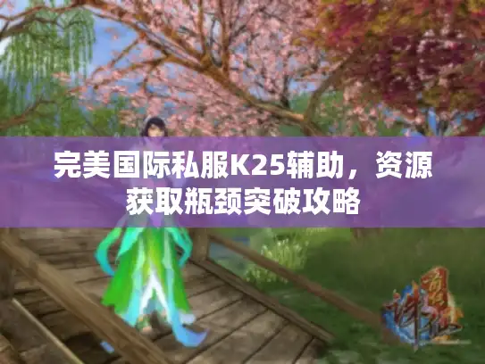 完美国际私服K25辅助，资源获取瓶颈突破攻略