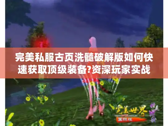 完美私服古页洗髓破解版如何快速获取顶级装备?资深玩家实战指南