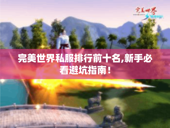 完美世界私服排行前十名,新手必看避坑指南! 完美世界私服排行前十名,新手必看避坑指南!