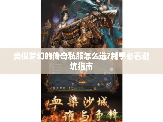 类似梦幻的传奇私服怎么选?新手必看避坑指南 类似梦幻的传奇私服怎么选?新手必看避坑指南