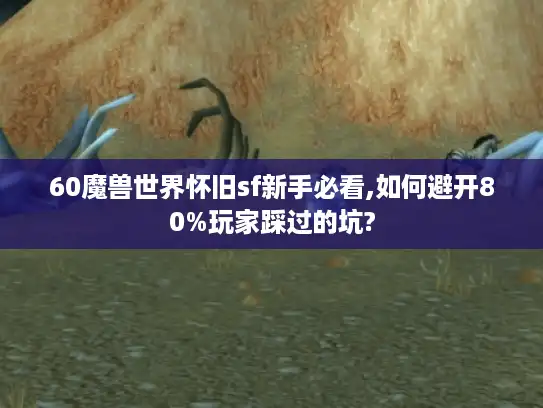 60魔兽世界怀旧sf新手必看,如何避开80%玩家踩过的坑?