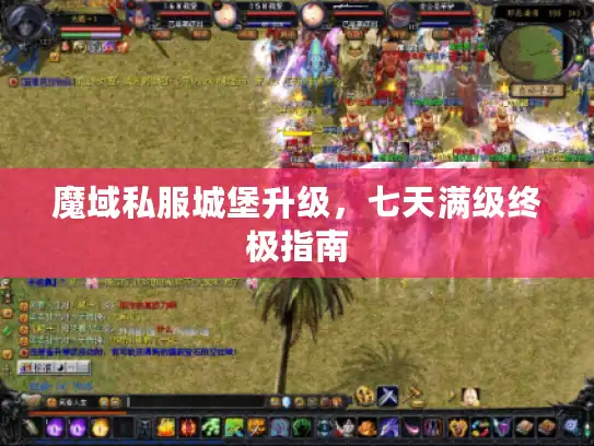 魔域私服城堡升级，七天满级终极指南
